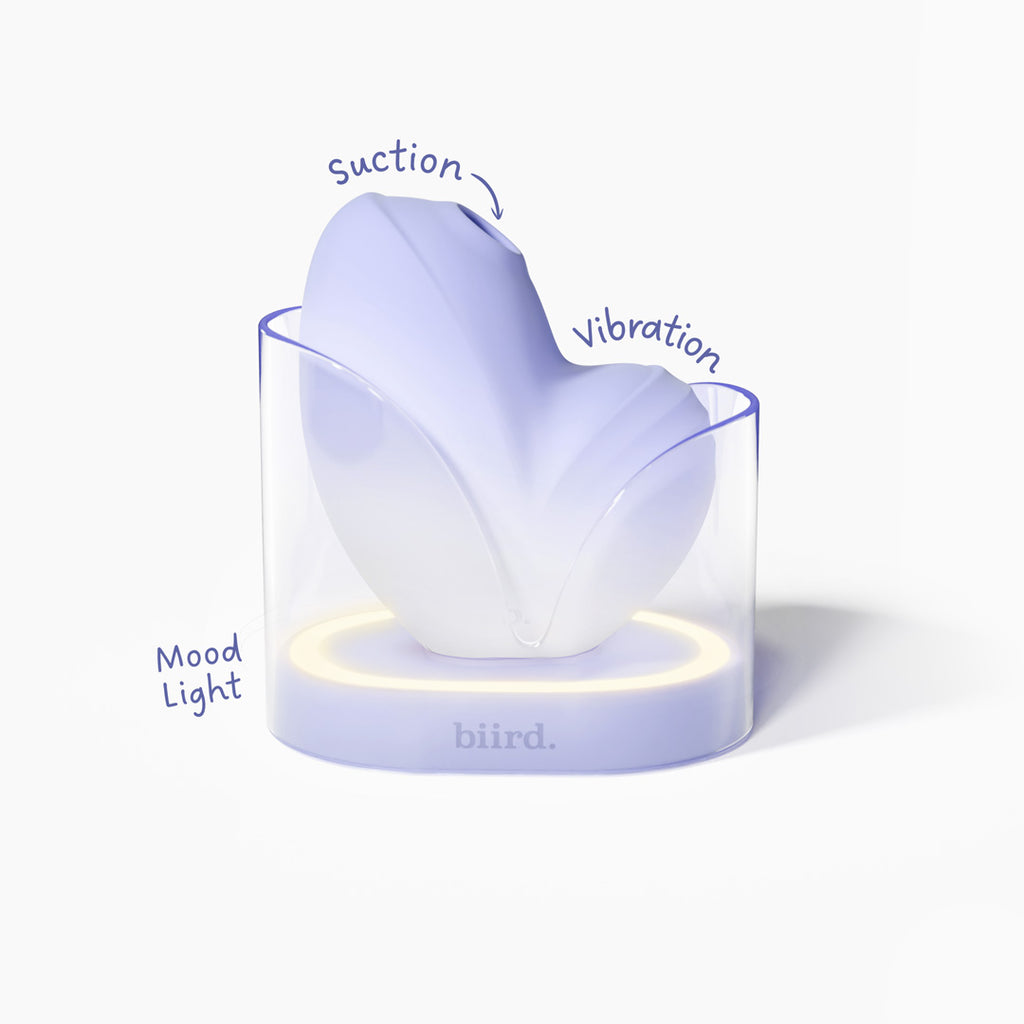 Namii 2 | New Suction Toy with Mood Light | Biird